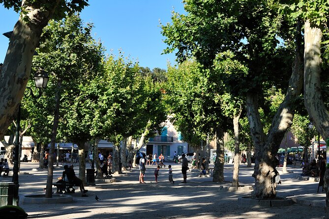 St-Tropez Day Tour from Cannes Small-Group and Shore Excursion - Who will enjoy this tour most?