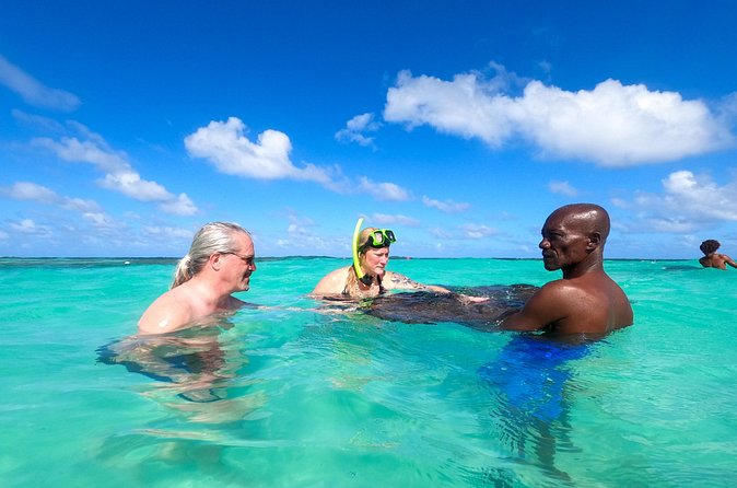 Stingray City Experience Antigua - Cruise Ship Passengers Edition - How the group size affects the experience