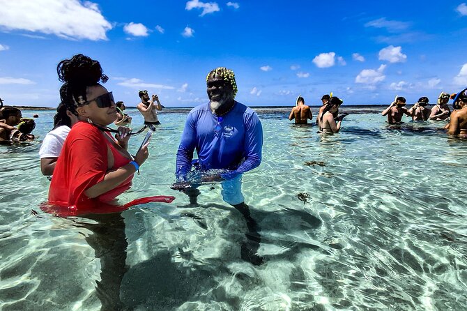 Stingray City Experience Antigua - Cruise Ship Passengers Edition - Who will enjoy this experience most