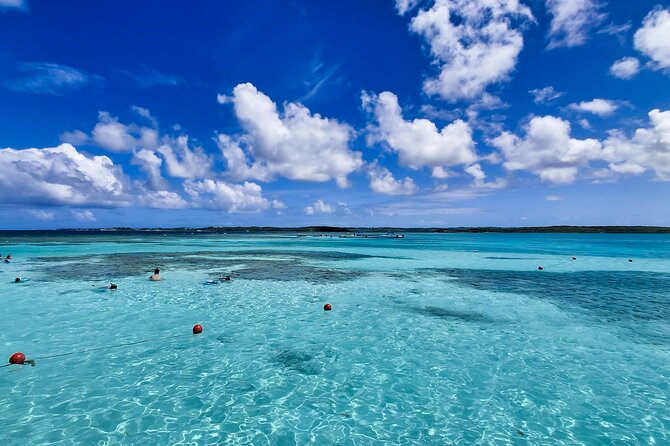 Stingray City Experience Antigua - Cruise Ship Passengers Edition - My booking advice for a cruise stop