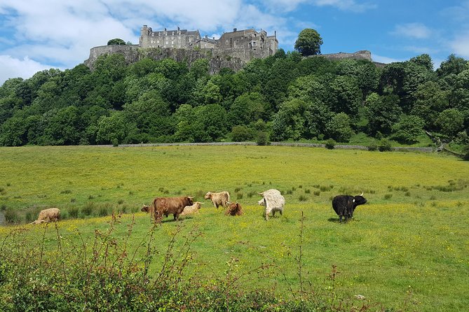 Stirling Castle, Trossachs and Loch Lomond Shore Excursion - Guides, group size, and the human side of the day
