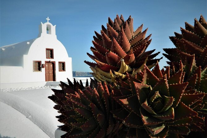 Stress-Free Santorini Shore Excursion: Private Highlights Tour - Oia gives you the postcard views, with a crowd warning