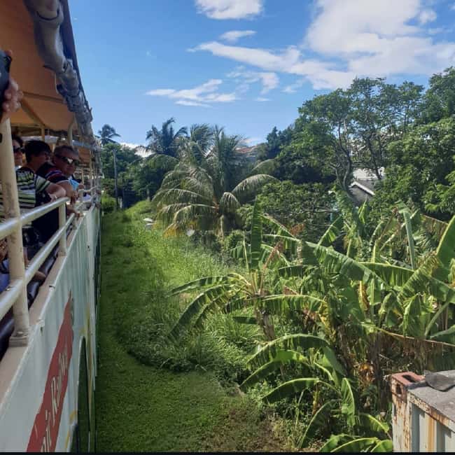Sugar Train Tour & Drinks|Pick-Up &Drop Off From Cruise Port - What you see along the 30-mile route