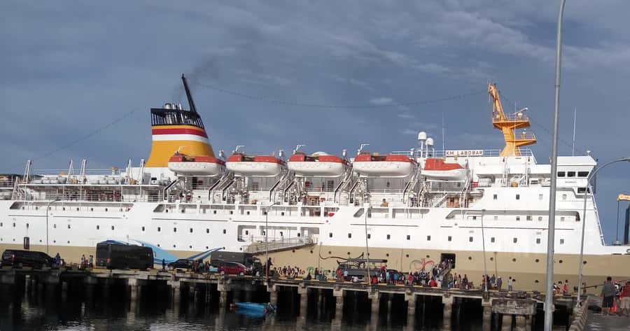 Surabaya Port: Tailored City Shore Excursion with Guide - What the private car changes