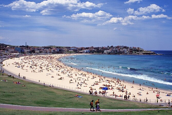 Sydney Shore Excursion: Half-Day Sydney City Highlights with Bondi Beach and Watsons Bay - Starting in The Rocks beneath the Harbour Bridge