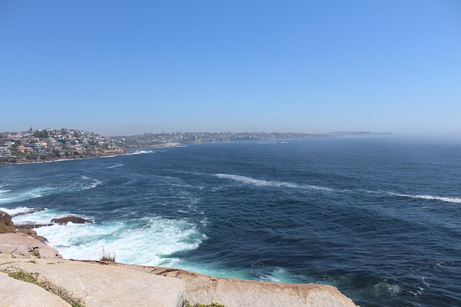 Sydney Shore Excursion: Half-Day Sydney City Highlights with Bondi Beach and Watsons Bay - Crossing central Sydney by George Street