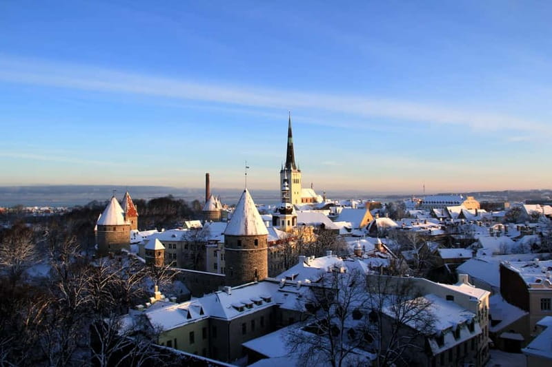 Tallinn: Highlights Shore Excursion with Return Transfer - Who will enjoy this tour most?