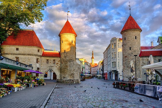 Tallinn Shore Excursion: Tallinn Sightseeing Tour by Coach and Foot - A coach ride from Kadriorg to Pirita