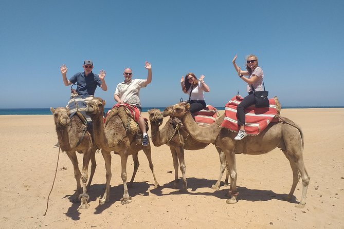 Tangier Private Full Day Tour From The Cruise Ship all inclusive - Key points to know before booking