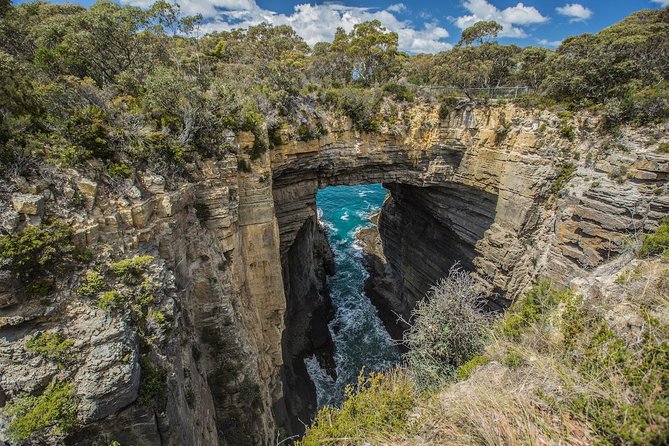 Tasman Peninsula Wilderness Cruise from Port Arthur - Is $129.10 good value?