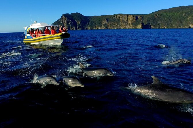 Tasman Peninsula Wilderness Cruise from Port Arthur - Weather, comfort, and staying safe