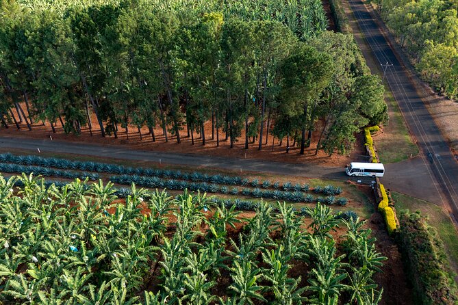 Taste the Atherton Tablelands Food & Wine Tour from Port Douglas - Julatten ends the day beside a creek