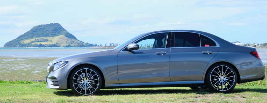 Tauranga: Kiwifruit Destination and Sights Shore Excursion - Key points to know before booking