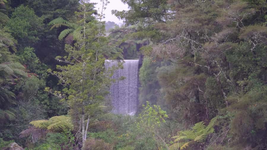 Tauranga: Kiwifruit Destination and Sights Shore Excursion - Why the kiwi orchard makes this tour different
