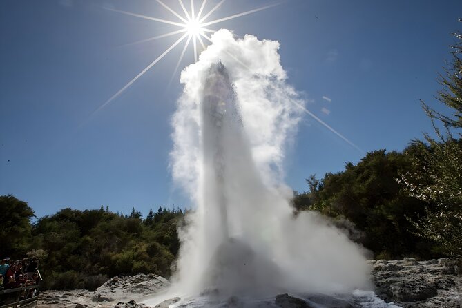 Tauranga Private Shore Excursion: Wai-O-Tapu Thermal Wonderland - Who will enjoy this shore excursion most?
