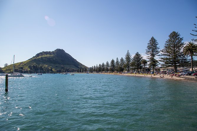 Tauranga Shore Excursion: History & Kiwifruit Tasting – 4 Hours - Why this Tauranga shore excursion is worth considering
