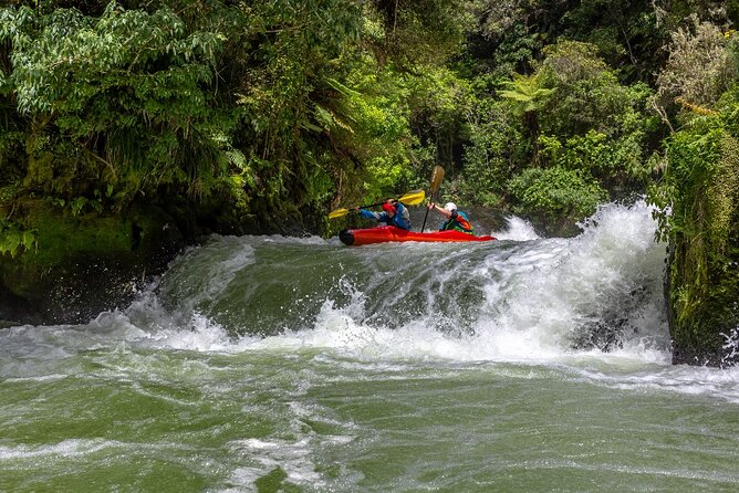 Tauranga Shore Excursion: Rotorua Highlights - At a glance: what this Tauranga excursion delivers