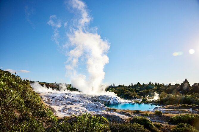 Tauranga Shore Excursion: Rotorua Highlights - Kaituna Falls on the return trip
