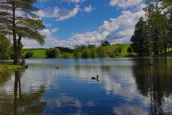 Tauranga Shore Excursion: Top Half Day Curated Highlights Tour - What makes this Tauranga tour worth considering