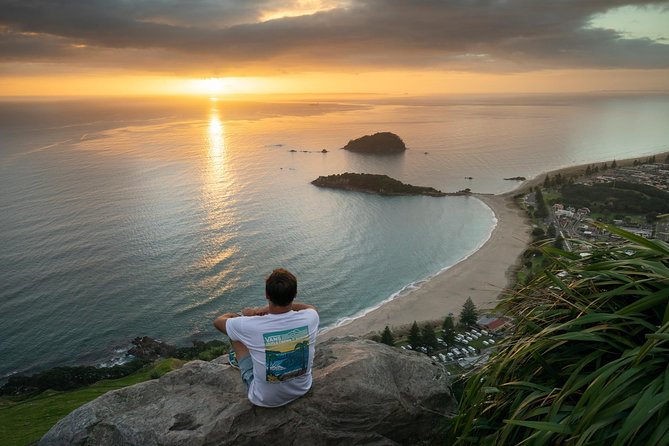 Tauranga Shore Excursion: Top Half Day Curated Highlights Tour - A four-and-a-half-hour introduction to Tauranga