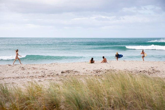 Tauranga Shore Excursion: Top Half Day Curated Highlights Tour - Gate Pa Memorial Reserve and the Battle of Gate Pa