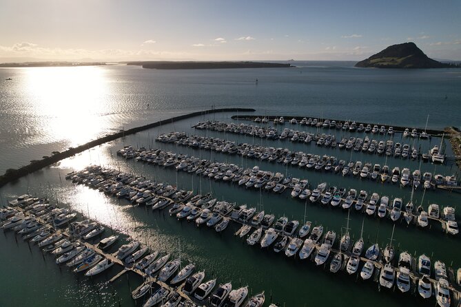 Tauranga Shore Excursion: Top Half Day Curated Highlights Tour - Te Puna and the kiwifruit-growing country