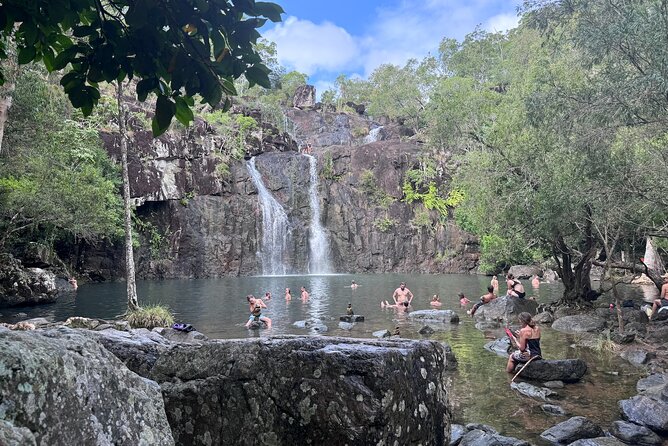 The Airlie Sightseeing Bus – (Cruise-Ship Friendly) - Whitsunday Gold Coffee Plantation: a country stop near Proserpine
