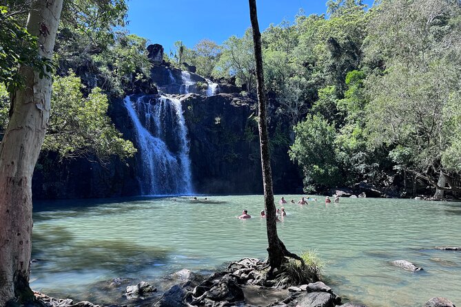 The Airlie Sightseeing Bus – (Cruise-Ship Friendly) - Cedar Creek Falls: beautiful, but strongly tied to the weather