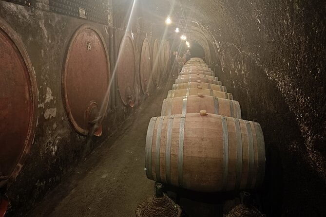 The Dying City "Civita Bagnoregio" w/wine tasting from Port - Two hours among Civita’s stone lanes