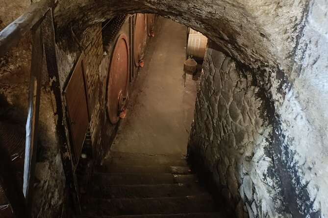 The Dying City "Civita Bagnoregio" w/wine tasting from Port - Wine, appetizers, and Bolsena Lake at Antica Cantina Leonardi