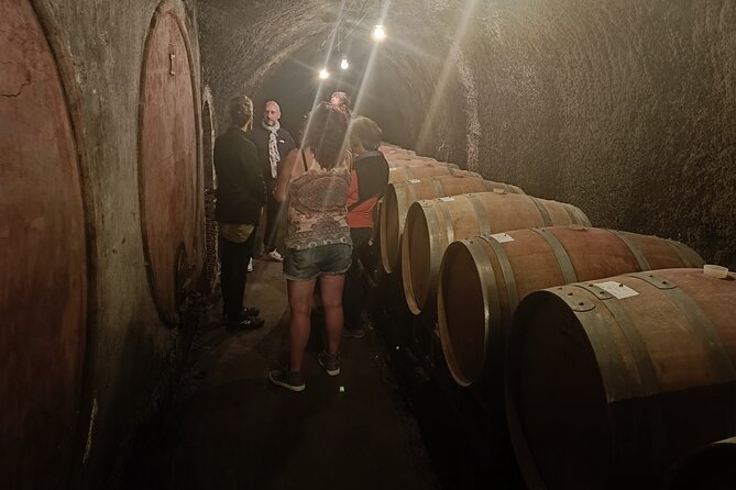 The Dying City "Civita Bagnoregio" w/wine tasting from Port - The risks of a port day excursion