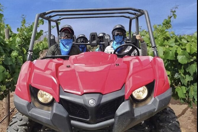 Thrilling ATV Ride Through Vineyards with Port Pickup - Should You Book This Ensenada ATV Tour?
