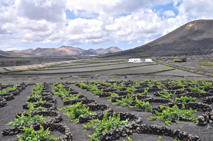 Timanfaya And El Golfo For Cruise Passengers (Mornings) - Geothermal demonstrations at Hilario’s Plateau