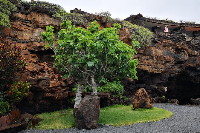 Tour of Jameos del Agua Viewpoint and Valley of 1000 Palm Trees for cruise passengers - What the three-hour schedule really means