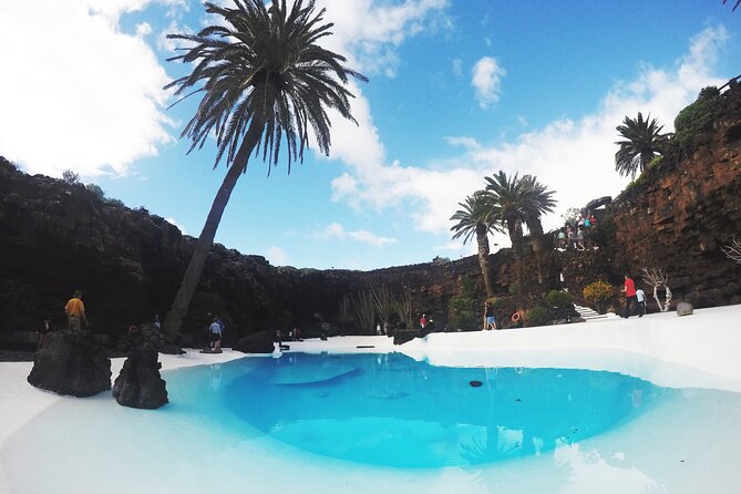 Tour of Jameos del Agua Viewpoint and Valley of 1000 Palm Trees for cruise passengers - The César Manrique connection gives the visit its meaning
