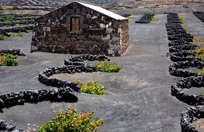 Tour to Timanfaya, La Geria and Laguna Verde for cruise passengers - The Monument to the Peasant and Casa Museo del Campesino
