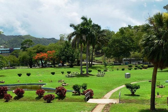 Trinidad Highlights Tour from Port of Spain - Royal Botanical Gardens: a short tropical pause