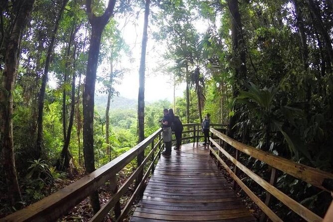 Veragua Rainforest Walk, Tram & Tortuguero Boat Tour. Limon Shore Excursion - Why this Limón shore trip works as a two-part nature day