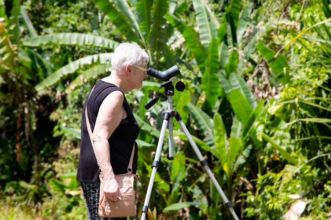 Veragua Rainforest Walk, Tram & Tortuguero Boat Tour. Limon Shore Excursion - Veragua Rainforest: tram views and forest trails