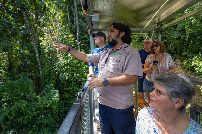 Veragua Rainforest Walk, Tram & Tortuguero Boat Tour. Limon Shore Excursion - Tortuguero canals: a quieter hour on the water