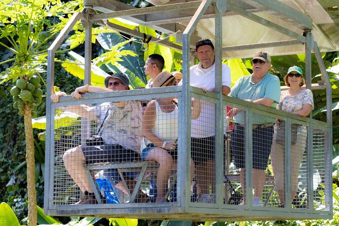Veragua Rainforest Walk, Tram & Tortuguero Boat Tour. Limon Shore Excursion - The guides and drivers can shape the entire day