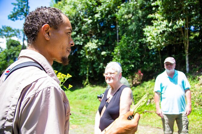 Veragua Rainforest Walk, Tram & Tortuguero Boat Tour. Limon Shore Excursion - Practical advice for choosing this tour