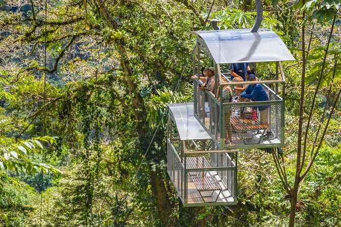 Veragua Rainforest Walk, Tram & Tortuguero Boat Tour. Limon Shore Excursion - The road to Veragua is part of the deal