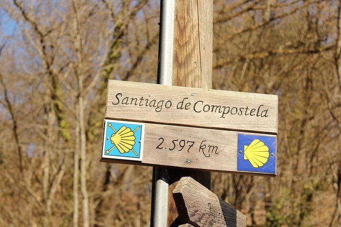 Vigo Santiago de Compostela Shore Excursion with Guide - Why Santiago is worth the long ride from Vigo