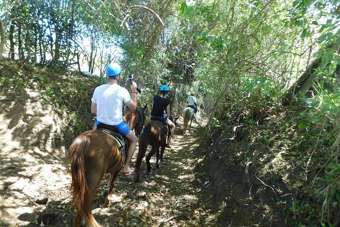 VIP DayPass: ATV, ZipLine, Horse Riding / Shore Excursion & Hotel - Is $159.99 a fair price?