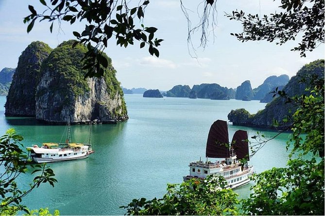 VIP Ha Long Bay 6 hour FUJI cruise with latest luxury cruise ship + limousine + highway + dinner for Japanese only - Kayaking or a bamboo boat on the bay