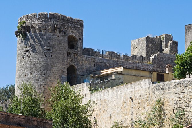 Visit Tarquinia, the Etruscan place easy going from the port - Key points to know before booking
