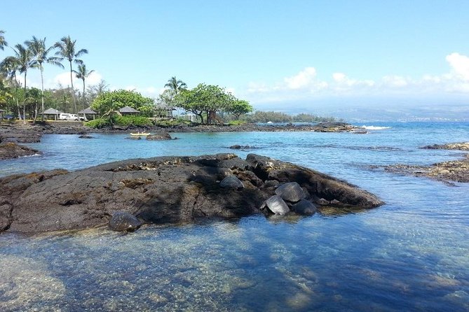 Volcano Adventure Tour & Waterfall - Shore Excursion from Hilo Harbor - King Kamehameha’s statue and island history