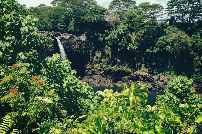 Volcanoes National Park Adventure Tour - Hilo Shore Excursion - Big Island Candies is more than a restroom stop
