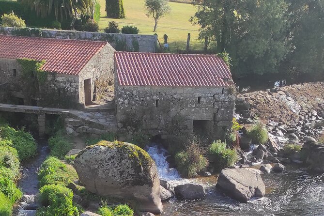 Walk The Camino&Santiago de Compostela Private SHORE Tour - A first taste of the Camino from La Coruña